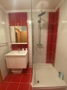 bagno con doccia, lavandino e servizi igienici di Apartments D&D a Osobjava