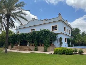a white house with a palm tree in front of it at Villa Ca Toni in Alicante