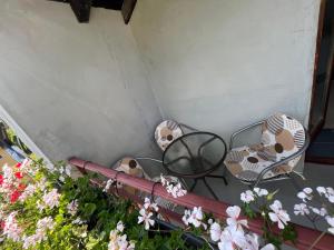 Foto dalla galleria di Mokra Gora Central Apartments a Mokra Gora