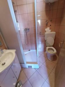 un bagno con doccia, WC e lavandino di Ivona - Kuća za odmor Perušić - Stara Lika a Perušić Altre 62 foto