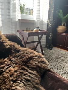 Posedenie v ubytovaní Przytulny Apartament