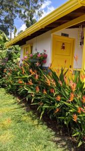 a house with a yellow door and some flowers at La Divina Providencia in Jardin