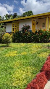 a house with a yellow door and a yard at La Divina Providencia in Jardin