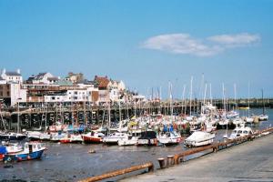 a bunch of boats are docked in a marina at Seashells in Bridlington