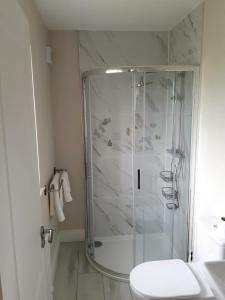 a bathroom with a shower and a toilet at Ensuite at the foot of Dublin Mountains in Dublin