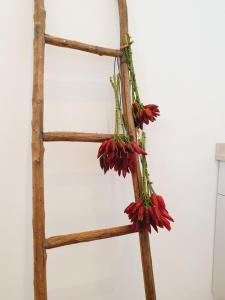 a wooden ladder with red flowers on it at La Noscia - Le Dimore di Thesia in Otranto