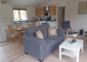 a living room with a blue couch and a kitchen at Llwyngwair Manor Holiday Park in Nevern