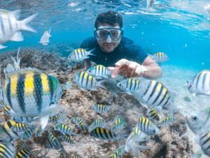 a man in the water with fish on the reef at Flats Sol e Mar in São José da Coroa Grande