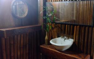 ein Badezimmer mit einem Waschbecken und einer Topfpflanze in der Unterkunft Casa Kukama Lodge in Iquitos