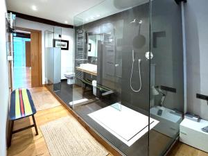 La salle de bains est pourvue d'une douche en verre, d'un lavabo et de toilettes. dans l'établissement Luxury Arquillos Vitoria, à Vitoria-Gasteiz