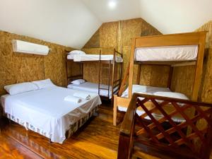 Tempat tidur susun dalam kamar di Hostal Tortuga Dorada