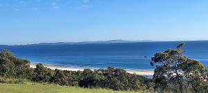 a view of a beach with trees and the ocean at Pandanus Palms Ocean View Holiday Resort on Point Lookout in Point Lookout +84 photos