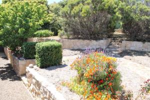 a garden with some flowers and bushes and trees at Kepals on the Coast - Kangaroo Island in Penneshaw