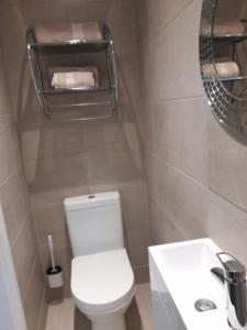 een badkamer met een toilet, een wastafel en een spiegel bij Lovely Home with full en-suite double bed rooms in Reading