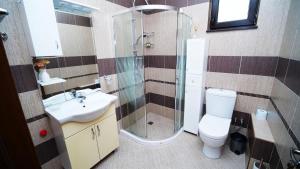 un bagno con doccia, WC e lavandino di Penev guest house a Glavatartsi