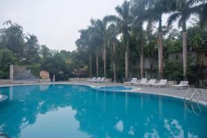 a large blue swimming pool with chairs and palm trees at Chitwan Paradise Hotel in Sauraha