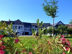a group of houses in a yard with flowers at Silver Lodge Apartman Eger in Eger