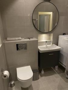 La salle de bains est pourvue de toilettes, d'un lavabo et d'un miroir. dans l'établissement Ekberg Annexet, à Järvsö