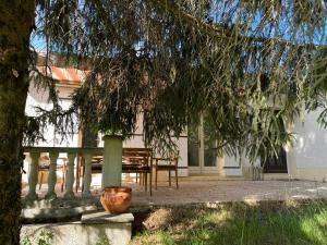 a bench sitting under a tree in front of a building at Villa Le grand Renard in Saint-Antoine-Cumond