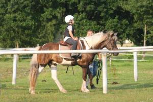 a young girl riding on the back of a horse at Lobeliowe Zacisze Sominy in Sominy