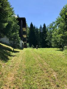 Paysage naturel près de l'appartement