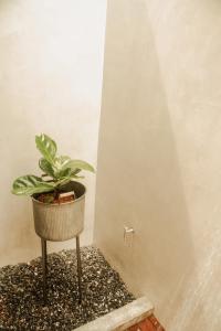 a potted plant sitting in the corner of a room at Ngam Hidden Cabin Room in Thongsala