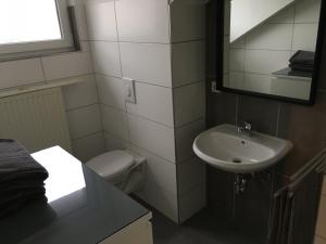 a bathroom with a sink and a toilet and a mirror at Ferienwohnungen Wiesengrund in Monschau