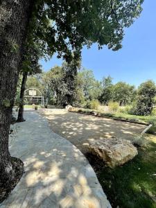 a tree and a path in a park with a rock at U0616 - Magnifique villa avec piscine proche Nice, Cannes in Roquefort-les-Pins