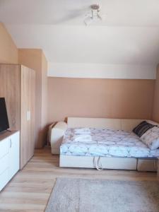 sypialnia z łóżkiem i telewizorem w obiekcie Villa Silva w Ochrydzie