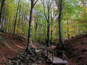 Natural landscape malapit sa holiday home