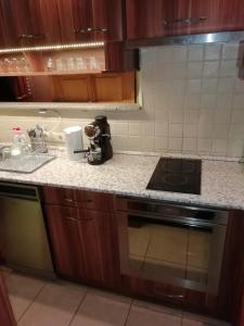 Kuchyňa alebo kuchynka v ubytovaní Aurora Apartments