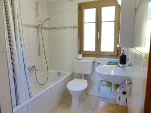 a bathroom with a toilet and a sink and a shower at Chalet Zur Säge by Interhome in Albinen