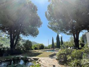 a view of a garden with trees and a pond at Holiday Home Villa La Vigna - TAZ175 by Interhome in Torrazza