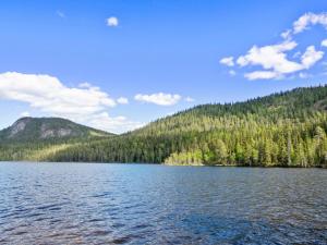 Blick auf einen See mit Bäumen und Bergen in der Unterkunft Holiday Home Pöllölaakso by Interhome in Ruka