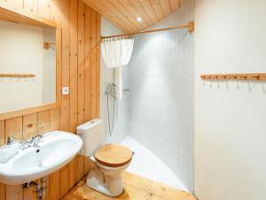 a bathroom with a toilet and a sink at Holiday Home Ruprechtovský mlýn by Interhome in Ruprechtov
