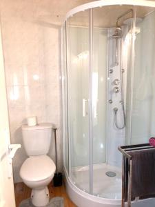 ein Bad mit einem WC und einer Dusche in der Unterkunft Maison de 2 chambres avec jardin amenage et wifi a Le Masnau Massuguies in Lacaze