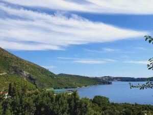Príroda v okolí apartmánu