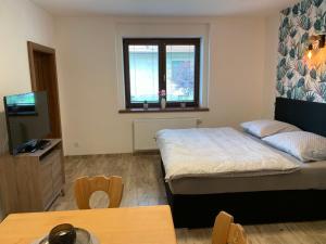 Postel nebo postele na pokoji v ubytování Apartment Županovice-2 by Interhome