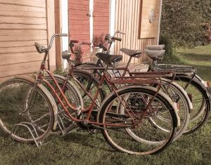Катание на велосипеде по территории Vanhan Koulun Majatalo-Old School Guest House или окрестностям