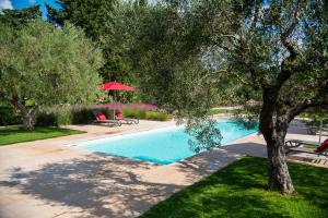 a swimming pool with a red umbrella and a tree at Masseria Li Reni in Manduria
