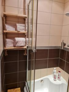 Koupelna v ubytování Apartament Wyszyńskiego Szczecin Polska