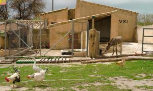 Imagen de la galería de Aldea Los Odres - Cabañas de Madera de 1ª con Piscina Privada y BBQ en la puerta, en Moratalla