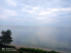 a view of a body of water with a tree at Sunset Apartment in Epanomi