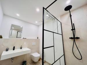 a bathroom with a shower and a sink at Idyllische Ferienwohnung mit Balkon & Ausblick in Arzbach +16 photos