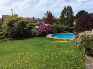 a yard with a swimming pool and flowers at Hotel El Ciervo in Villarrica