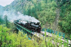 un tren de vapor está bajando por las vías en Apartments DM en Mokra Gora