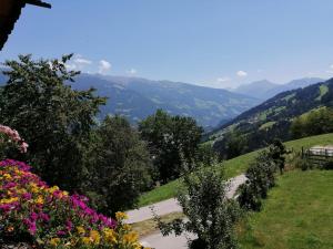 eine Straße in den Bergen mit Blumen in der Unterkunft Kuanerhof Wohnung 2-4 Personen in Ried im Zillertal