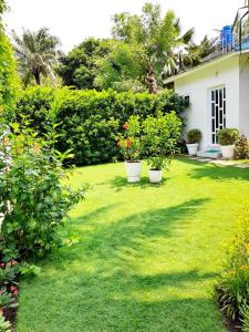 un cortile con erba verde e piante e una casa di L'Epicurien a Cotonou