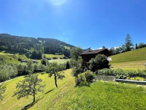 Příroda nedaleko chaty