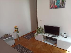 a living room with a television on a white entertainment center at Cozy studio Belgrade (Zemun) in Belgrade